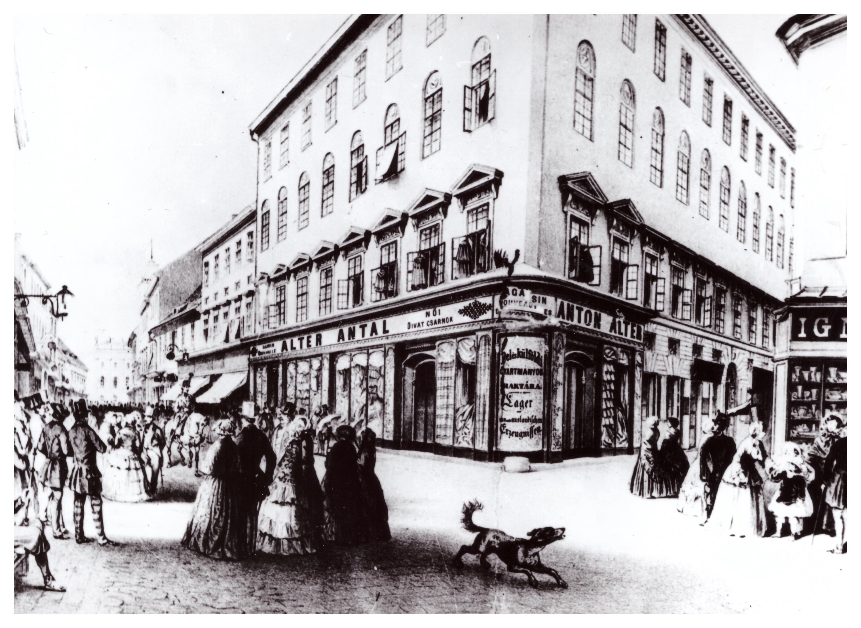 Lex trappistsa – lex uborka